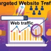 Targeted Country Organic Traffic/Visitors from Google, Bing, Yahoo, Ask, Baidu, and Yandex for Website Ranking