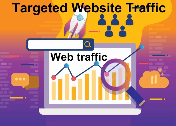 Targeted Country Organic Traffic/Visitors from Google, Bing, Yahoo, Ask, Baidu, and Yandex for Website Ranking